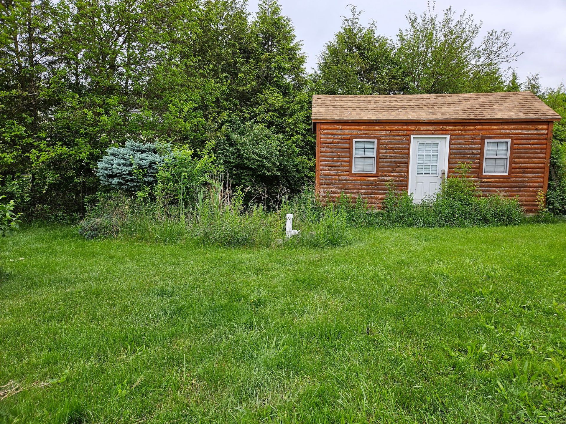 Wooden shed with a white door and small windows surrounded by green grass and trees.