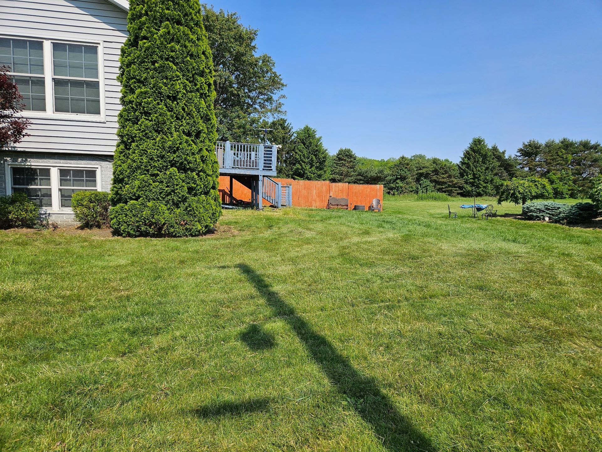 Lawn in front of a house, with a play structure in the distance. Blue sky and trees complete the scene.