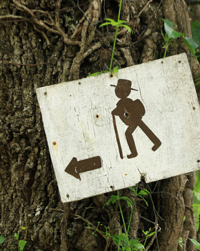 Hiking