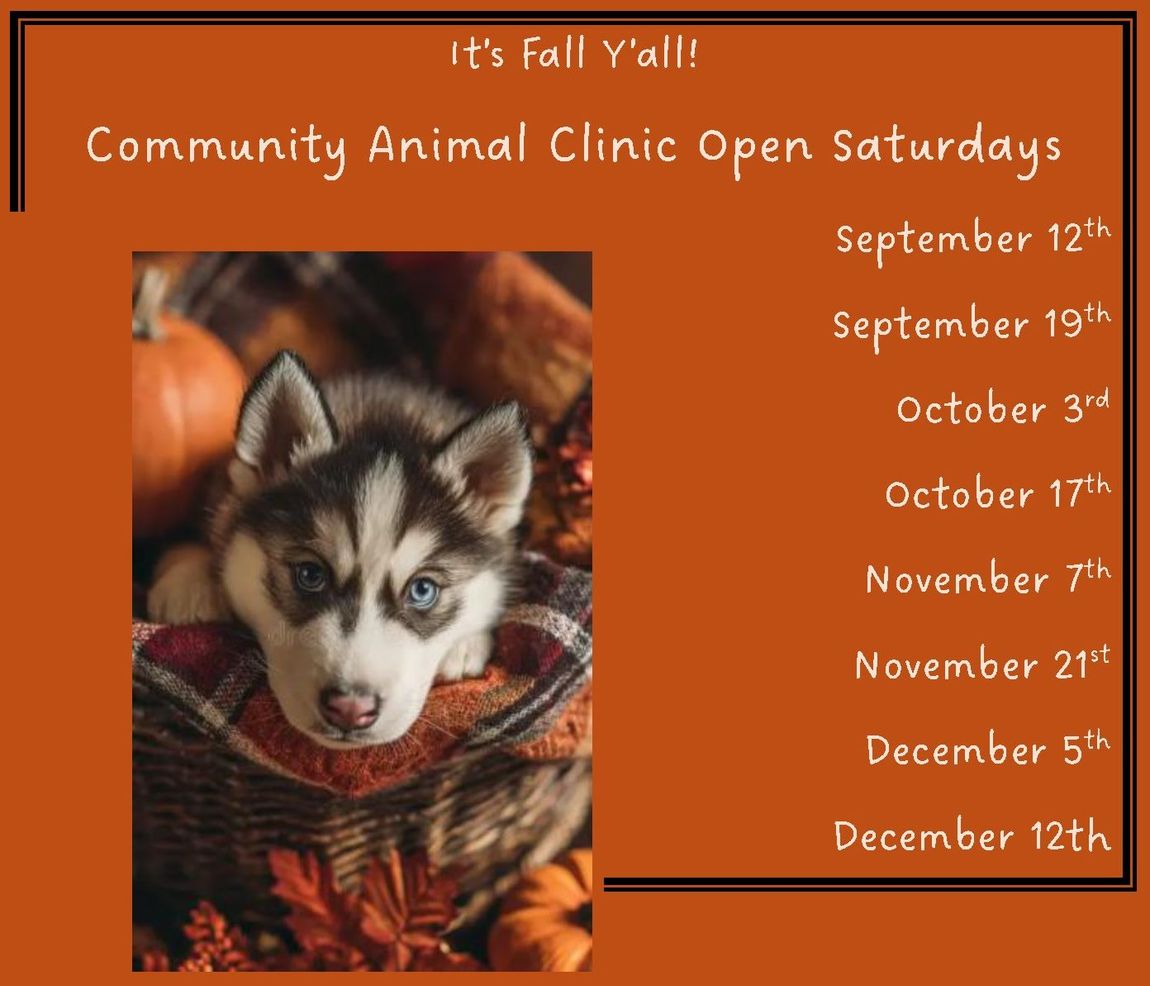 fall hours