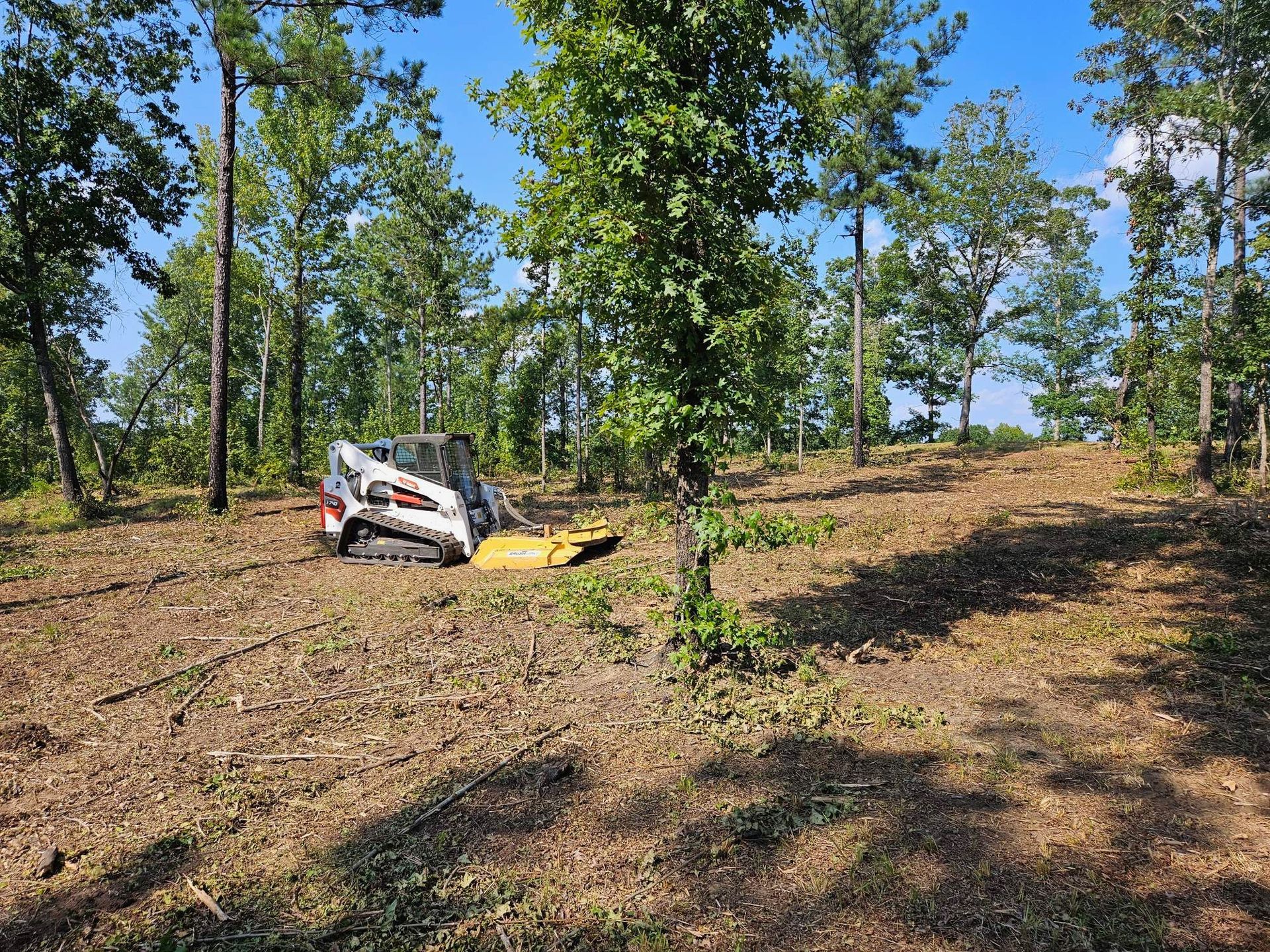 A bulldozer is cutting down trees in a forest.