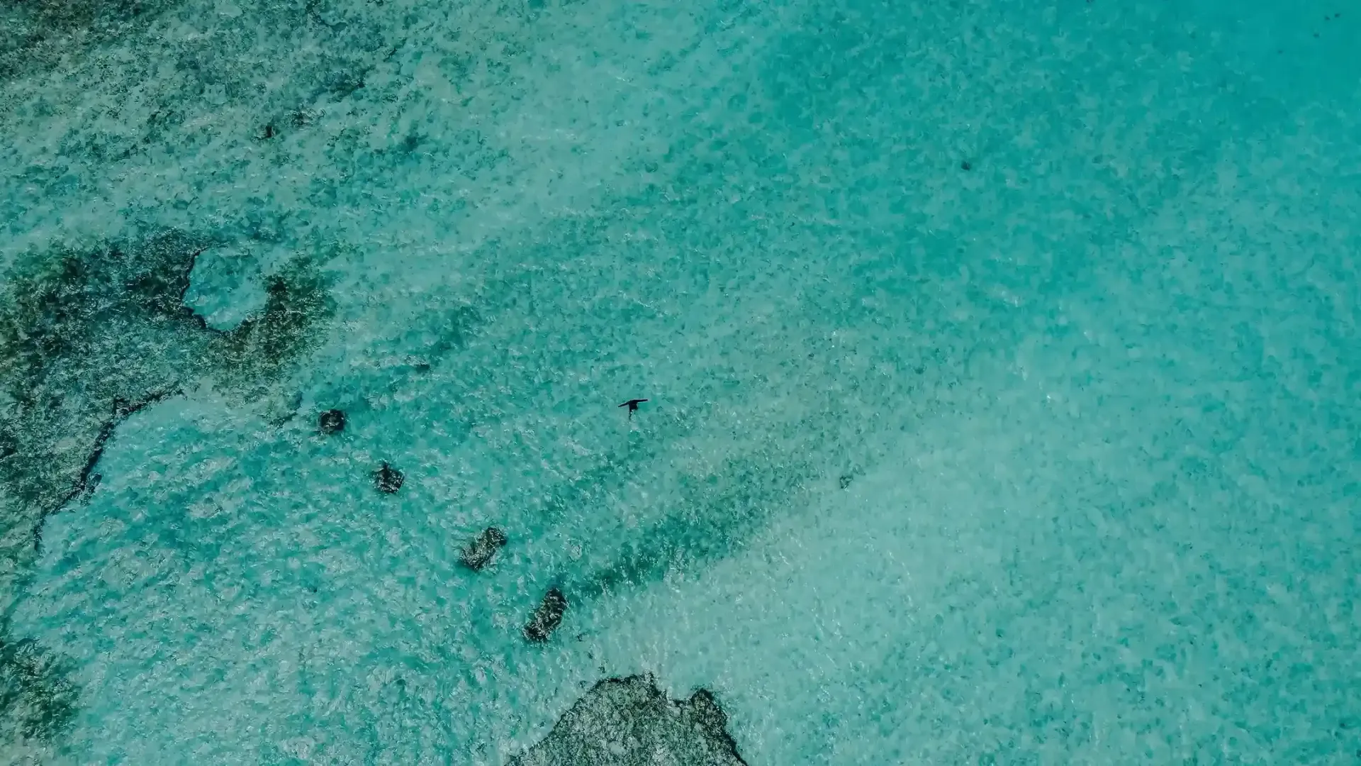 restaurantes en san andres islas con mesas redondas, manteles claros y ambiente cálido.