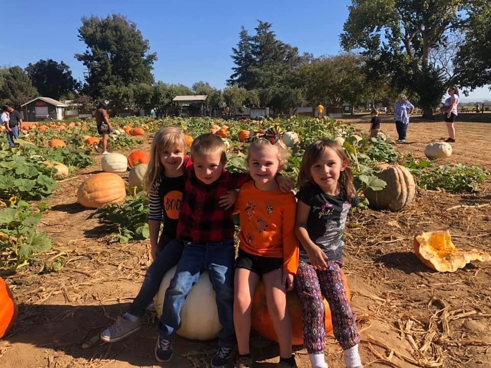 children field trip in farm