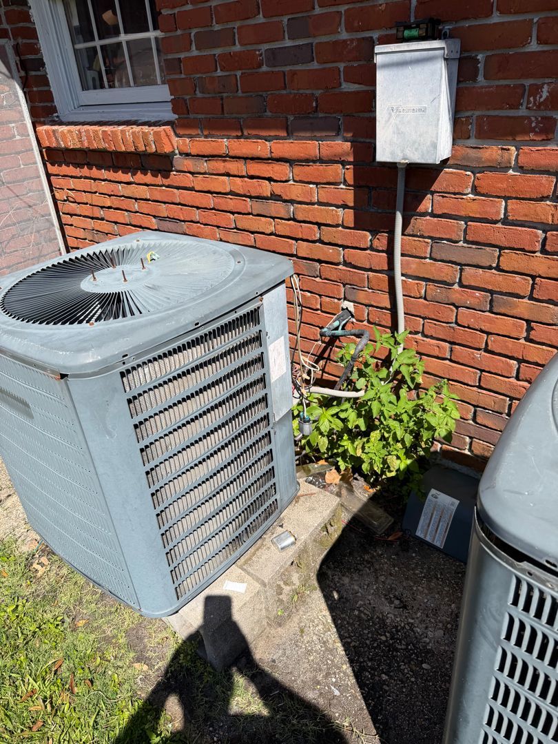 Outdoor air conditioning unit beside a brick wall and utility box, with a plant growing in the corner.