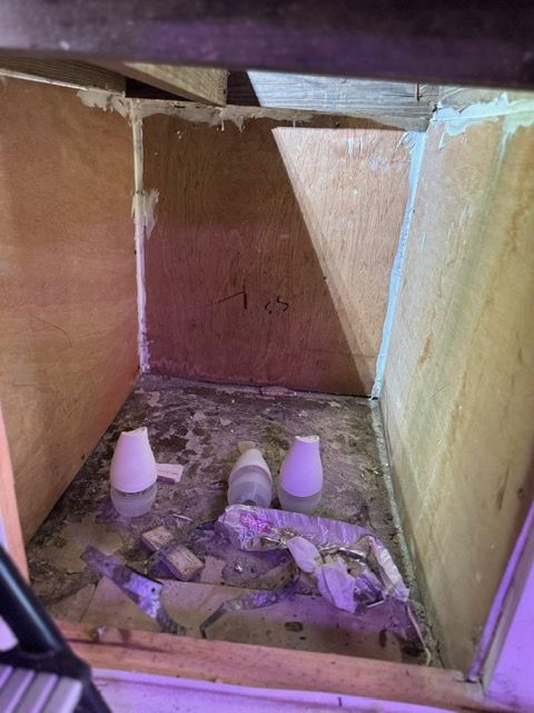 Three small cups in a dusty wooden compartment with scattered debris and purple light