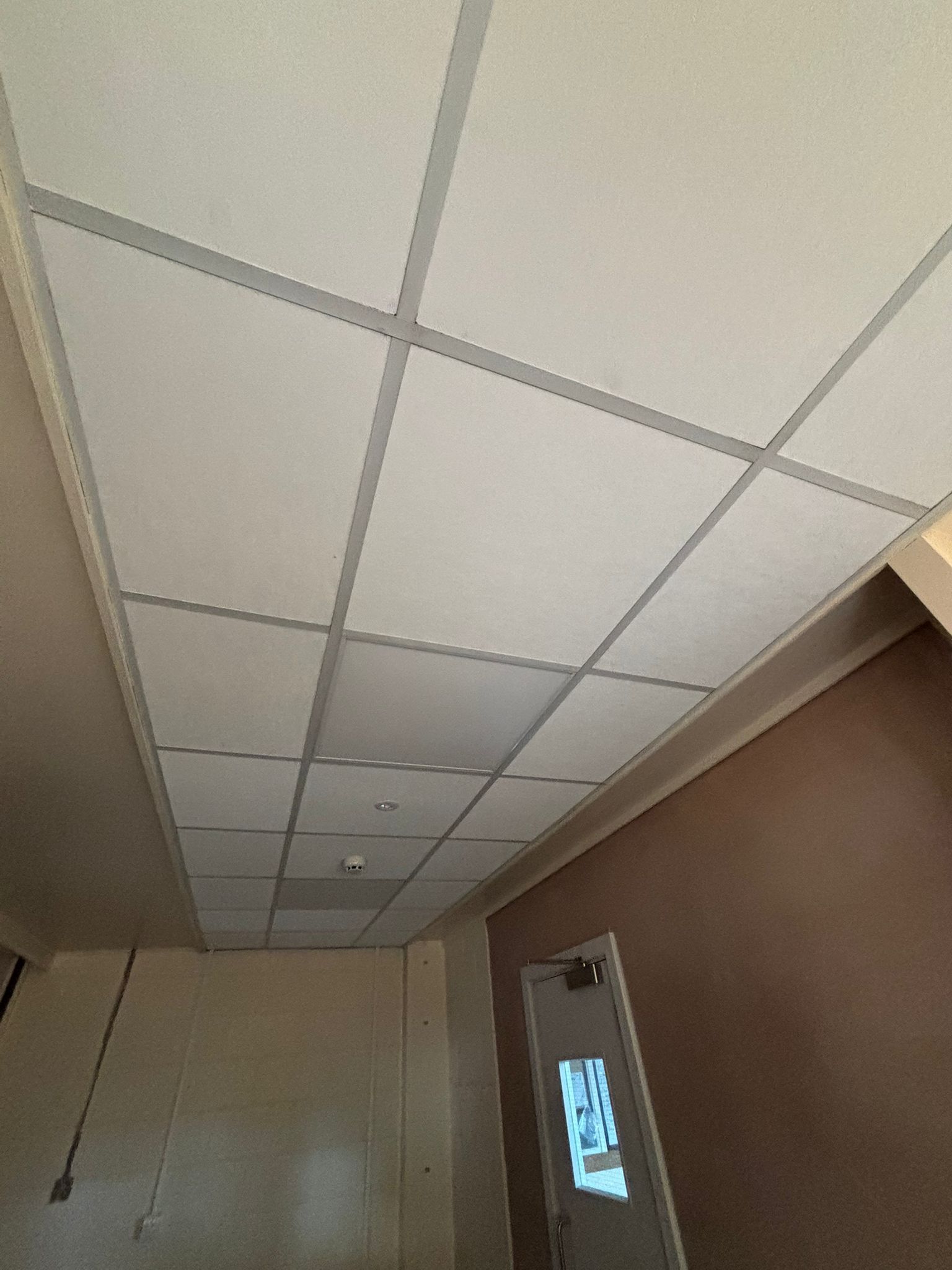 New Ceiling Tiles