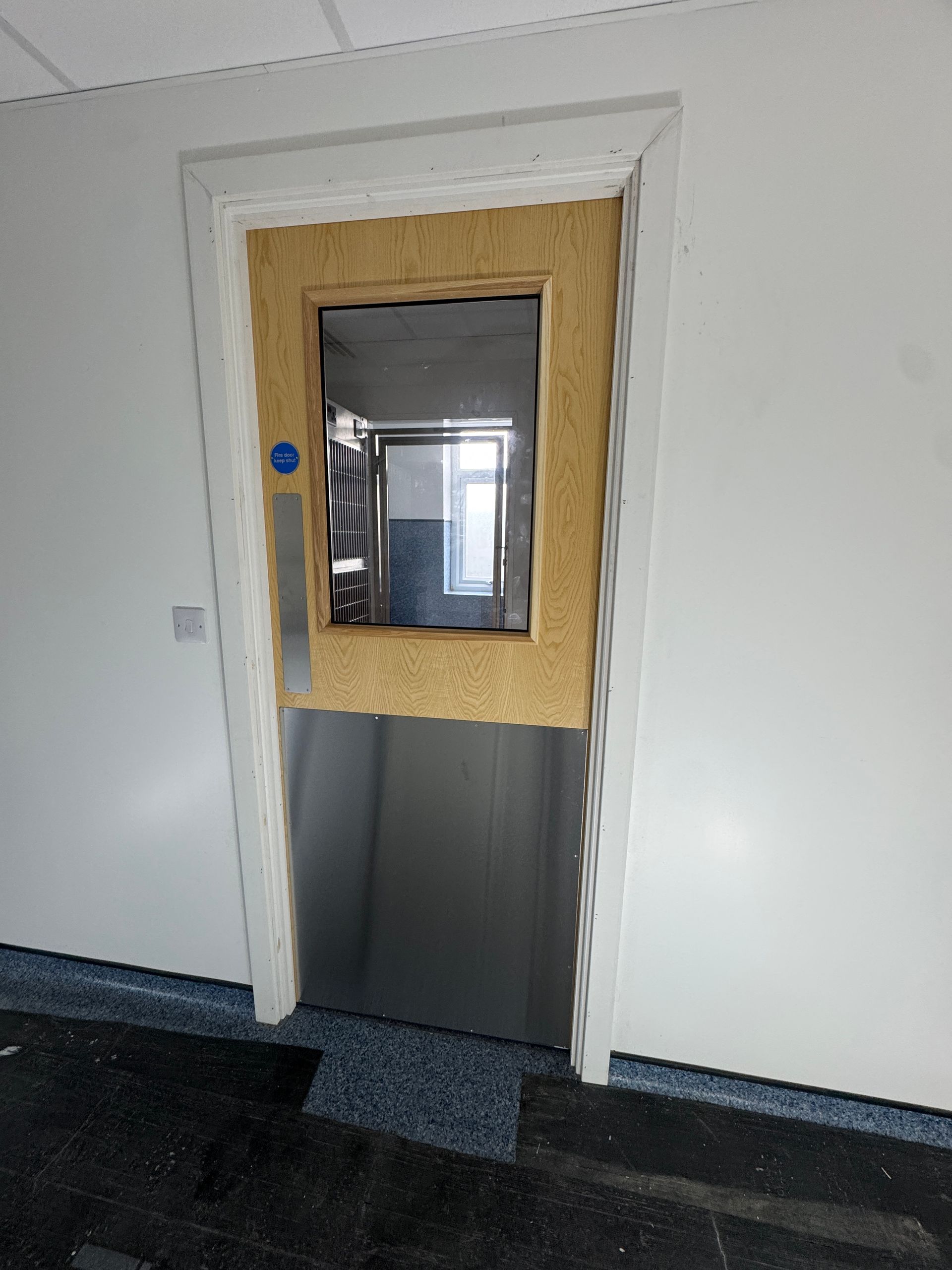 Fire Door with viewing panel 