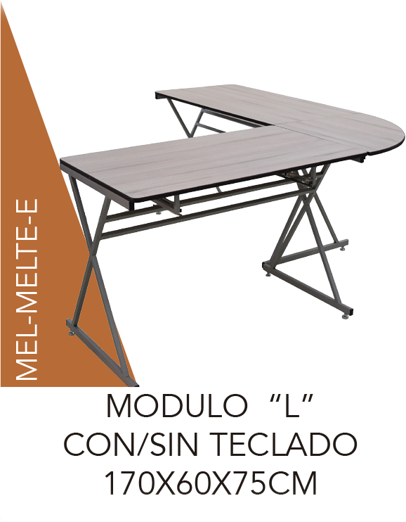 MÓDULO COMPUTADORA L