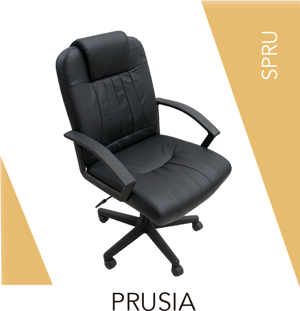 SILLA PRUSIA