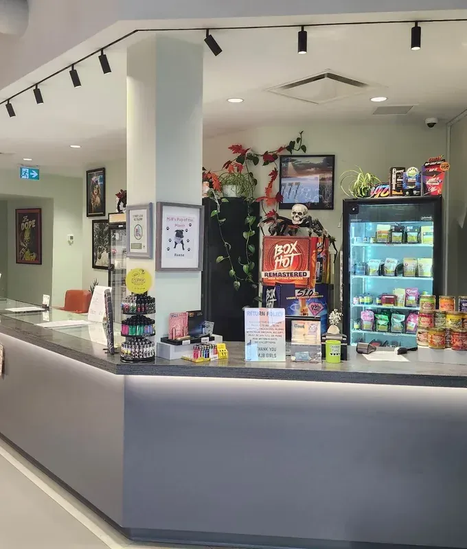 Inside MJB Cannabis: a long grey service counter with a glowing light strip, track lights on a black rail, a glass fridge of products, plants and framed art, and the Pup of the Month on the pillar.