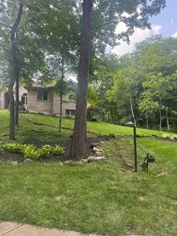 Grassy yard with trees, a stone house, and a small bird feeder on a sunny hillside.
