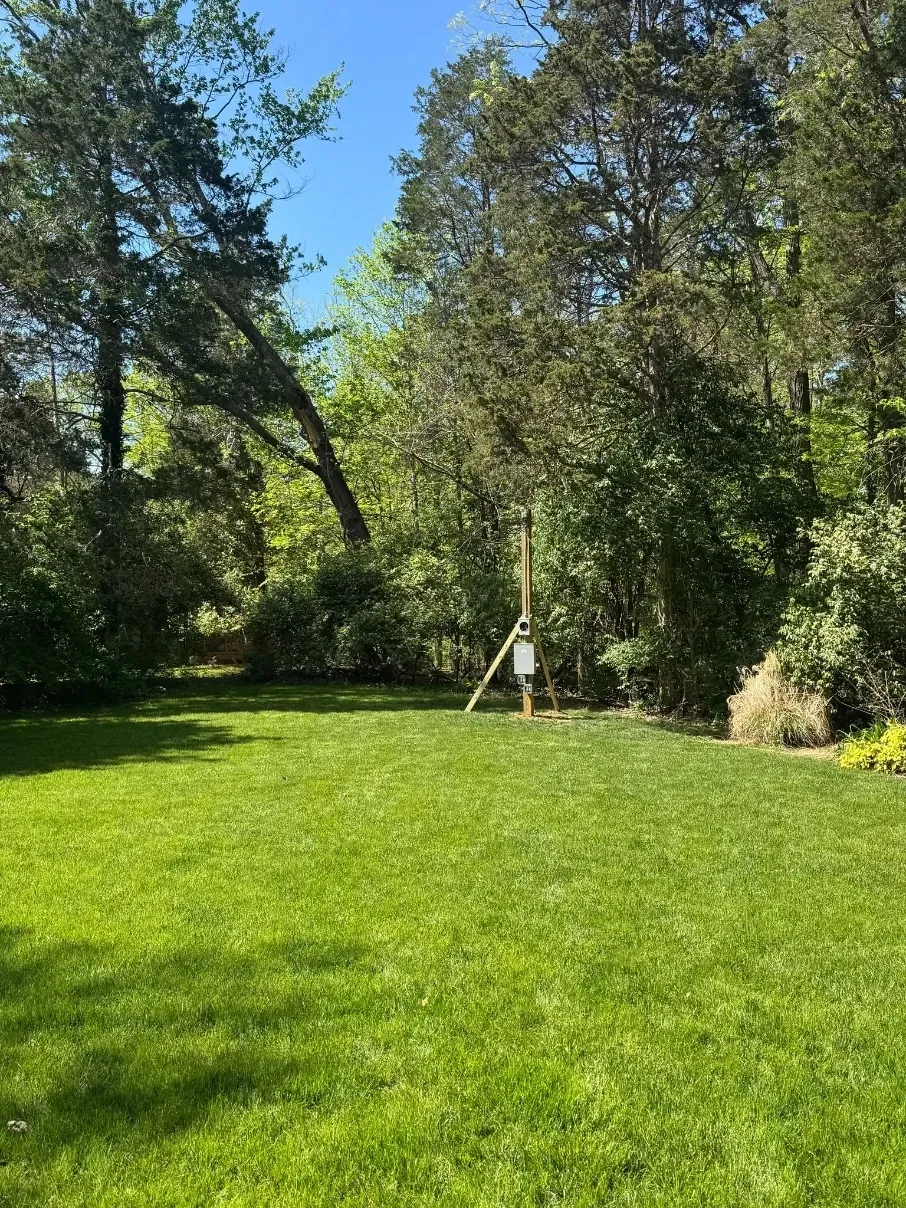 Sunny green backyard with lush grass, tall trees, and a white support pole near the center.