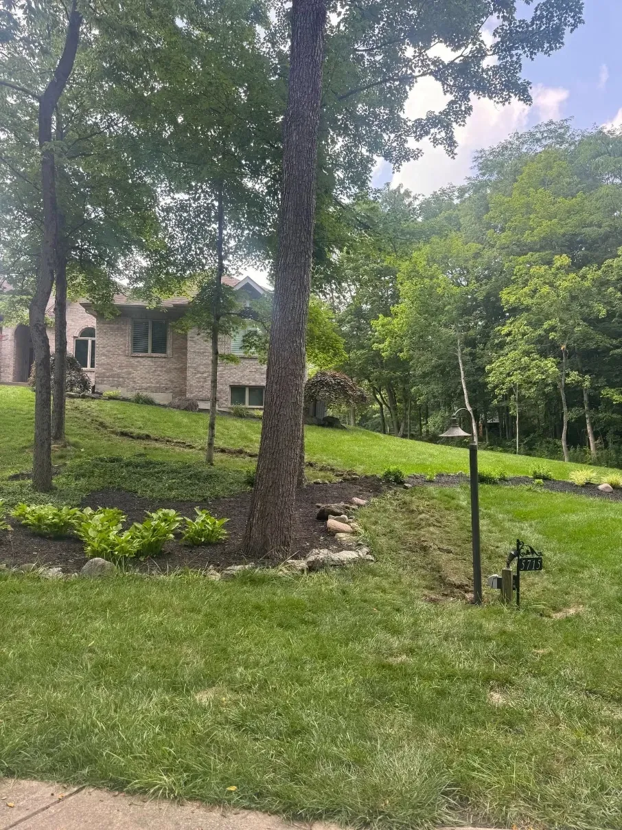 Grassy yard with trees, a stone house, and a small bird feeder on a sunny hillside.