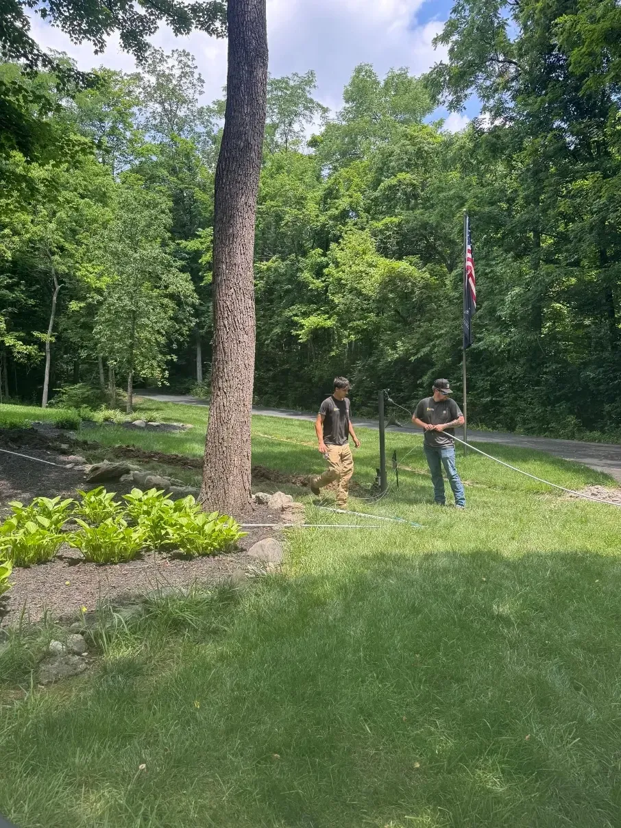 Two people stand in a sunny yard beside a large tree and a flower bed, with a flag visible in the background.