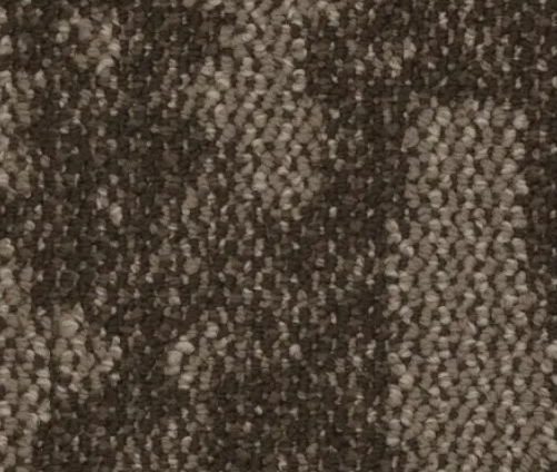 Dark brown and beige speckled carpet texture.