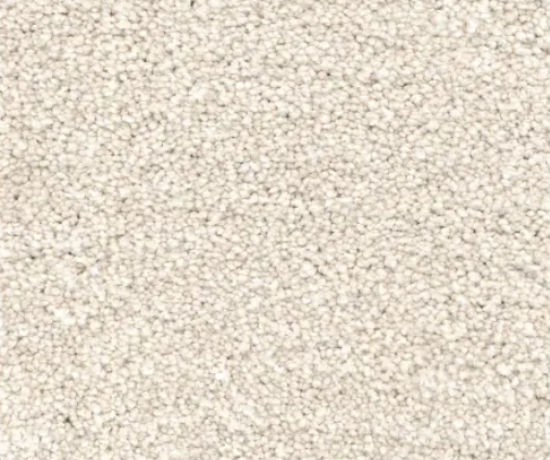 Close-up of beige, textured carpet.