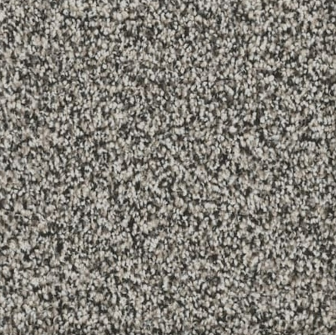 Close-up of speckled gray and white carpet texture.
