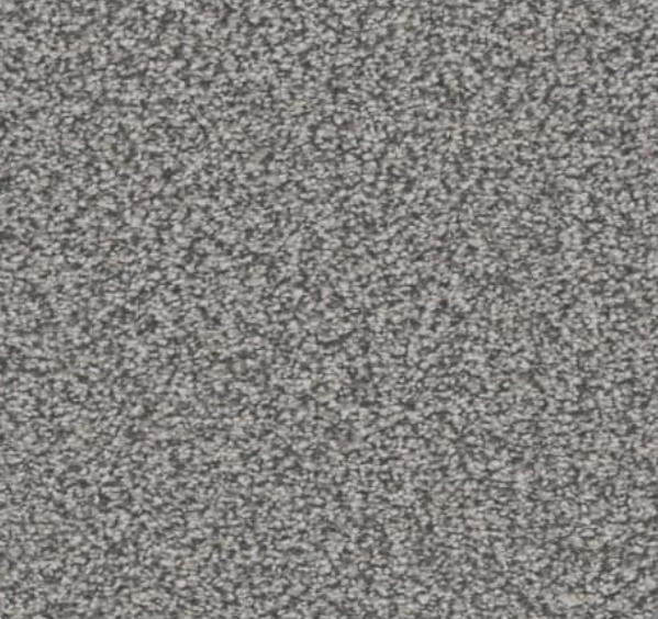 Gray speckled carpet texture.