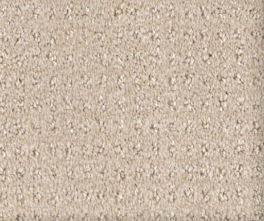 Beige carpet with a looped pile texture.