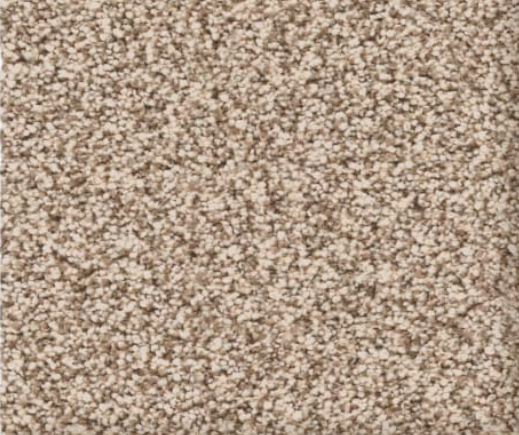 Close-up of beige and brown speckled carpet.