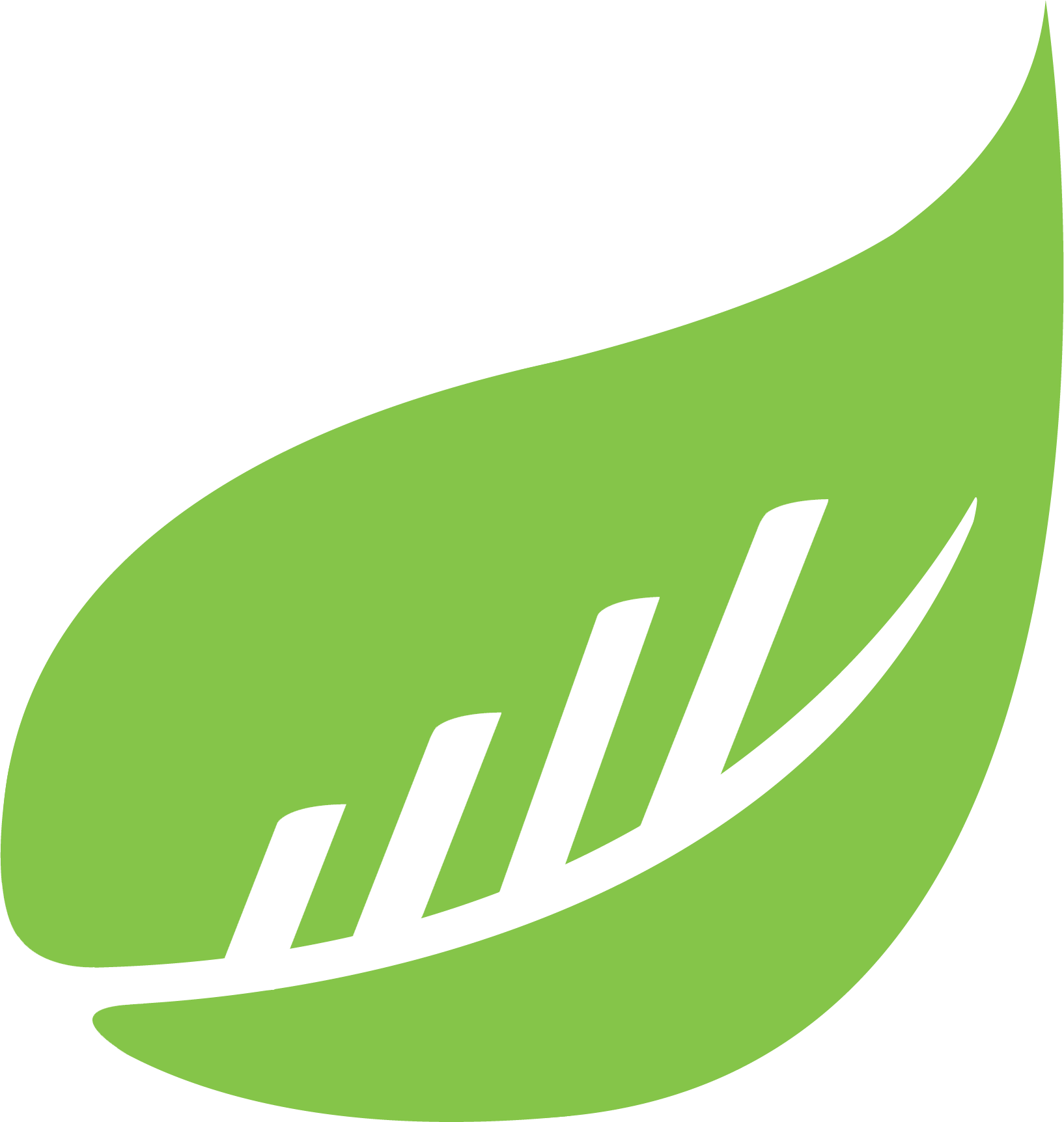 BusySeed, la Mejor Agencia de Marketing Digital en NYC