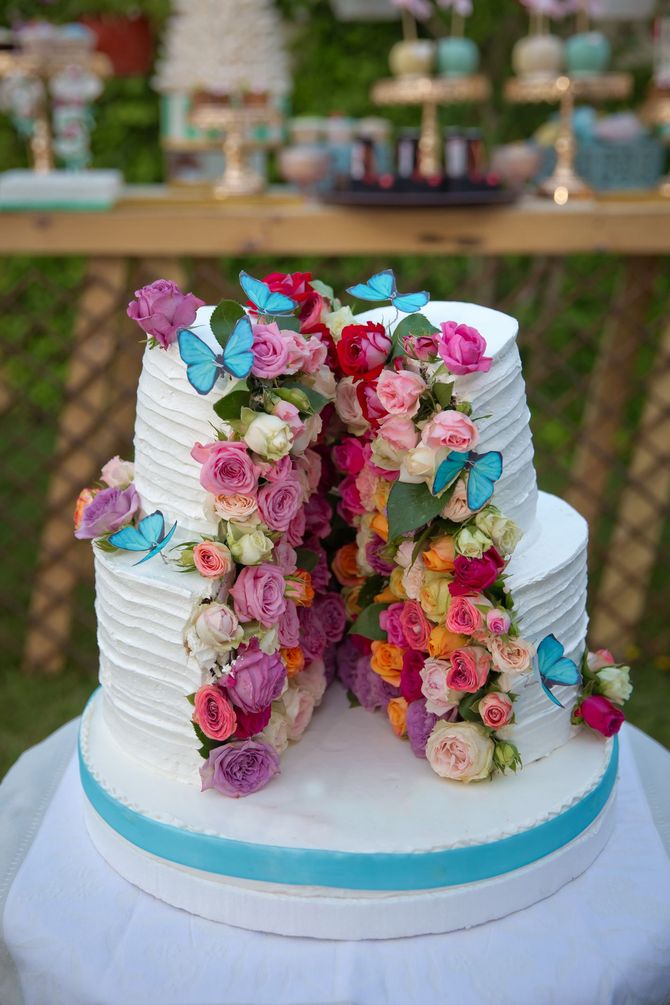 torte 1