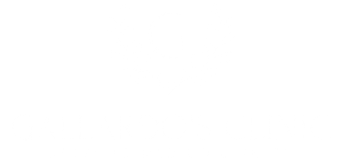 Gallardo's Clinic, Servicio Médico Directo
