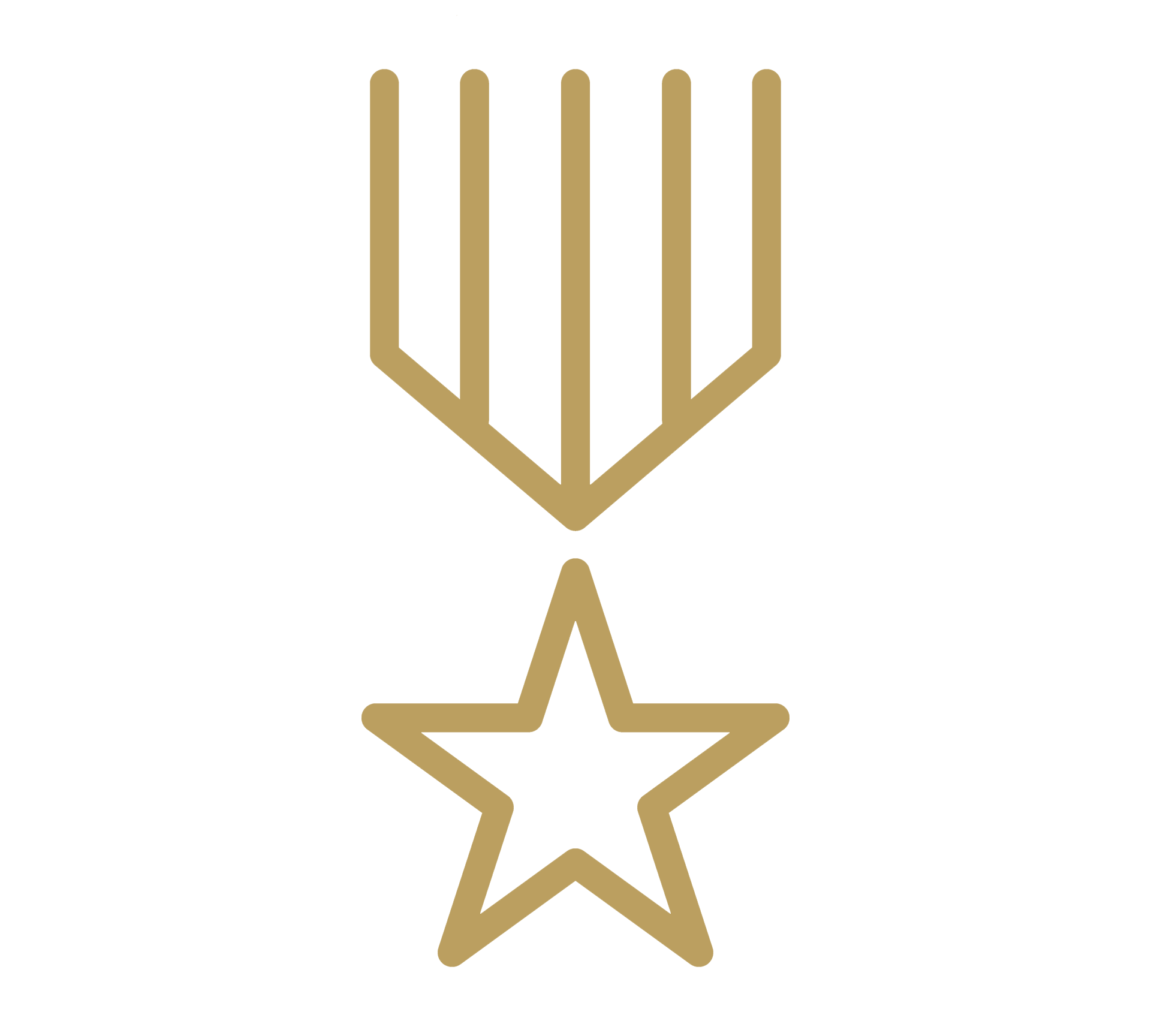 Veteran Icon, Natural Element is Veteran owned and run.