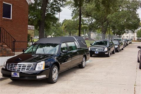 Black hearse parked on a tree-lined street with other cars in the background