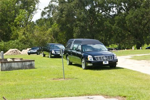 Black hearse and cars parked on a grassy roadside near trees
