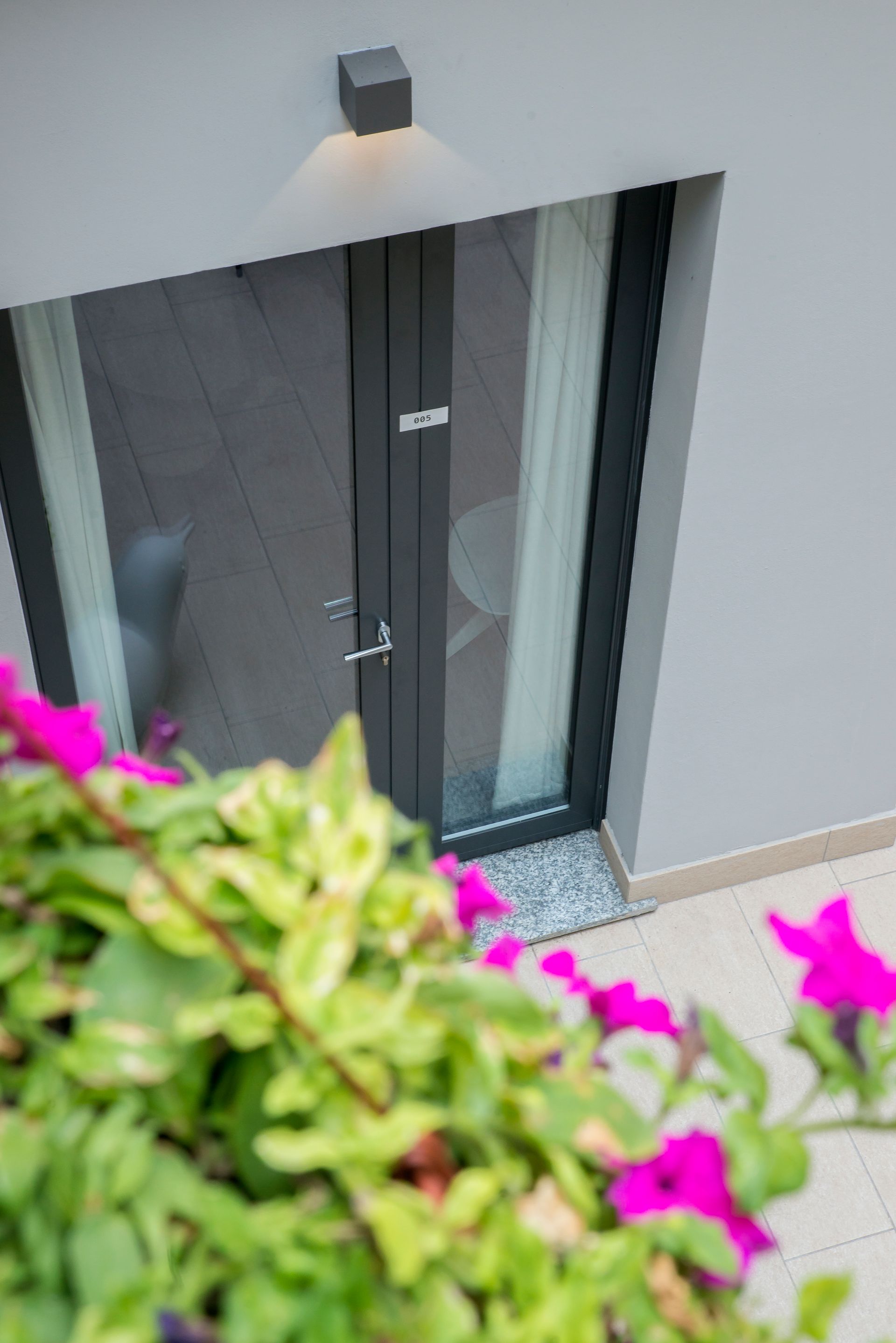 Una puerta exterior gris con una ventana, flores rosas en primer plano, bajo una luz cenital.