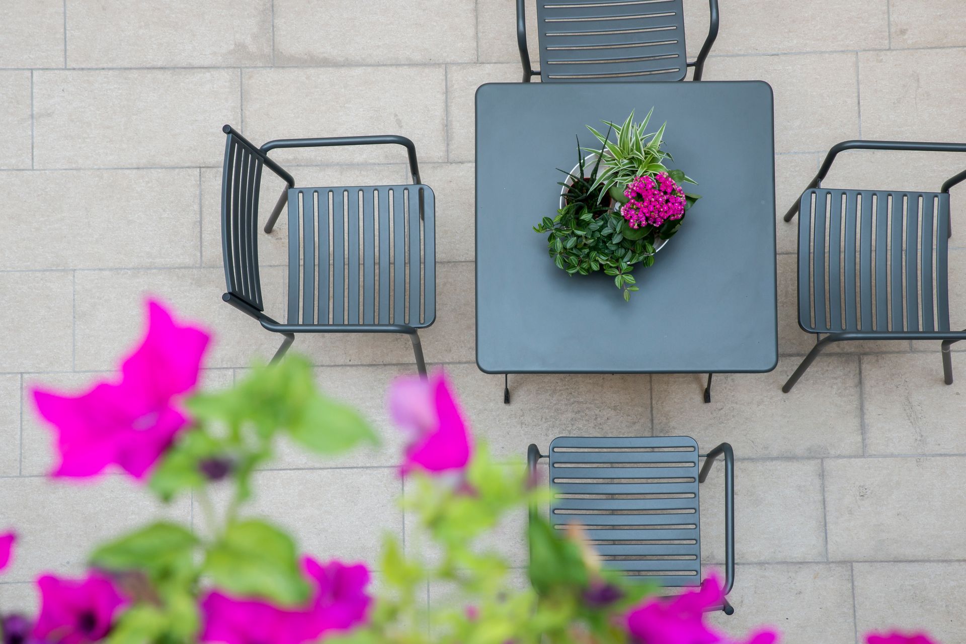 Mesa de exterior con sillas, coronada con una maceta con plantas rosas y verdes; vista desde arriba.