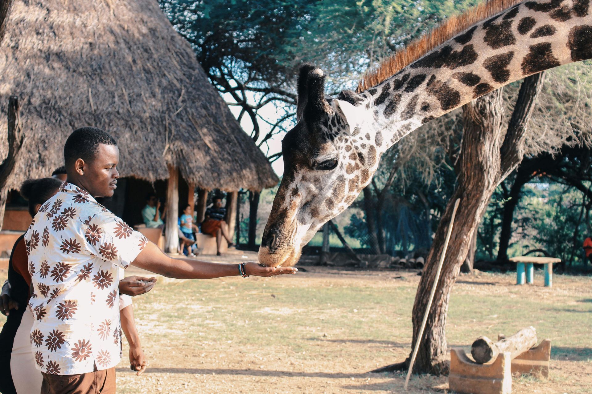 Wedding car hire Nairobi** 12. Kenya** 13. **Quick car hire for tourists Nairobi** 14. **Nairobi long-term car hire options