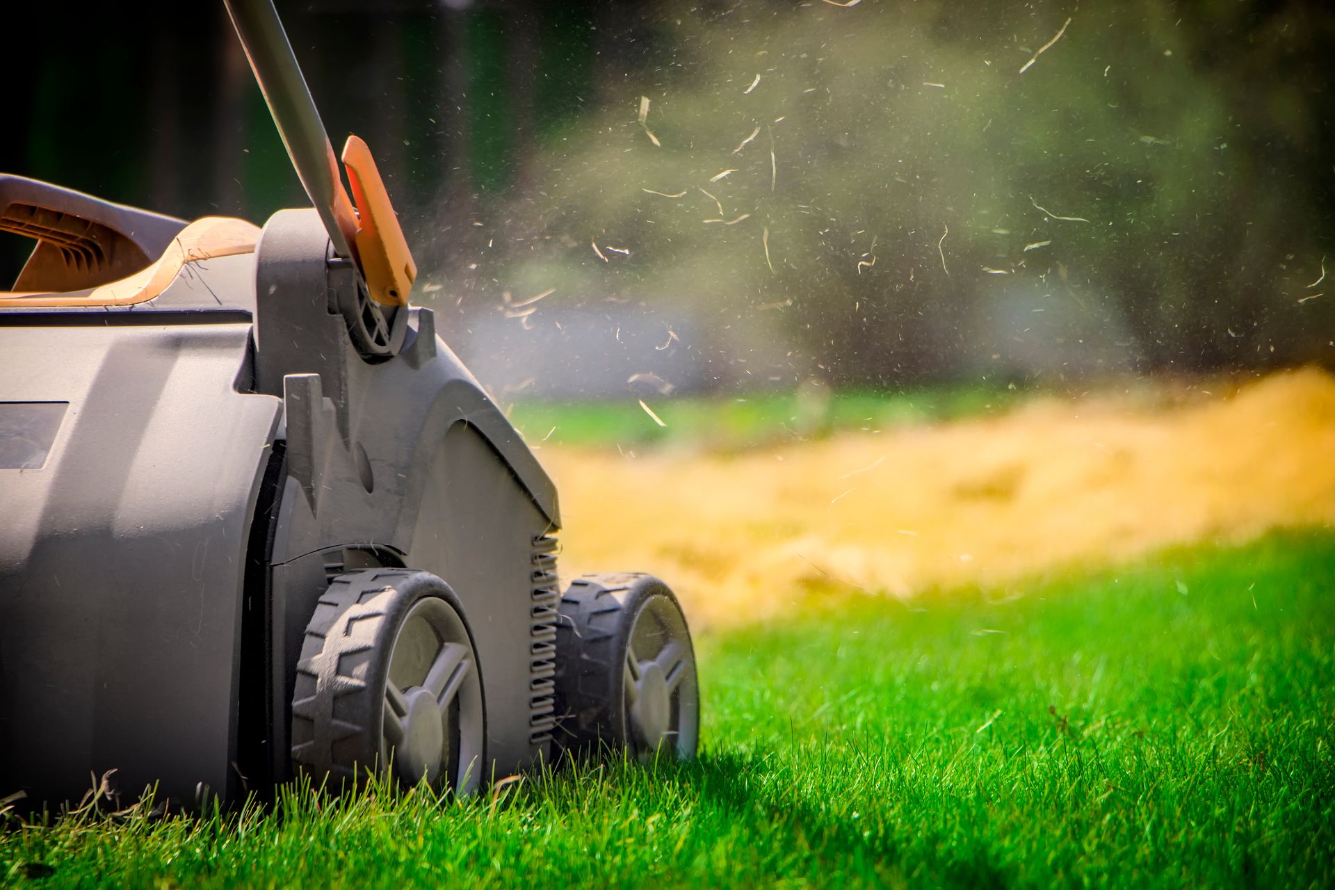 Lawn Aeration & Overseeding Service | Davey Tree