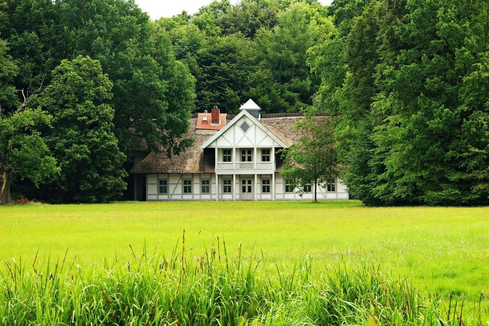 lawn care services