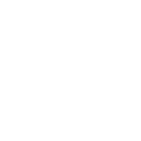 fall yard clean-up services
