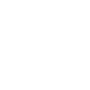 fall yard clean-up services