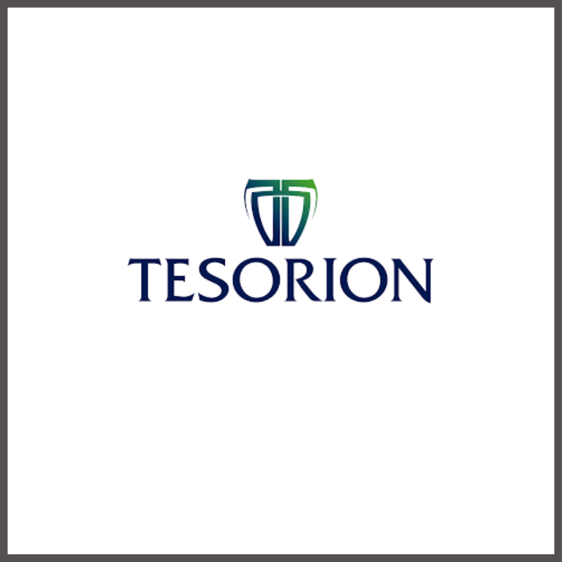 Tesorion - cybersecurity