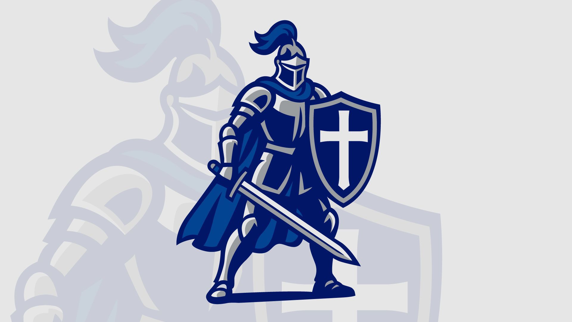 Knight logo design, brand identity for schools and non-profits, design agency near me