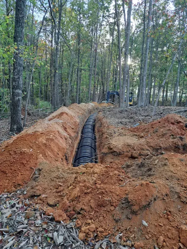 A drainage system is being installed in the middle of a forest.
