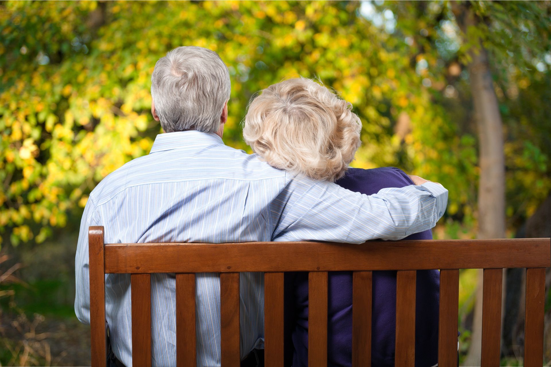 Two people sit arm-in-arm on a wooden bench in a sunny park, seen from behind.