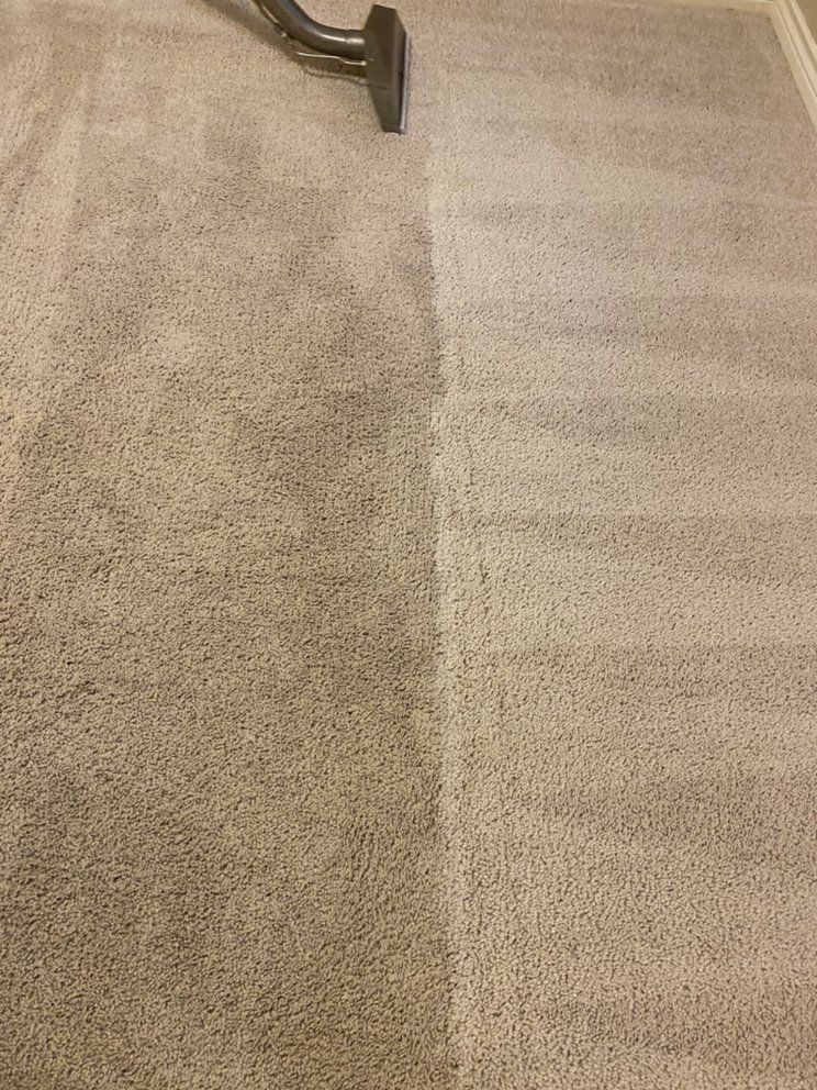 A vacuum cleaner is cleaning a carpet in a room.