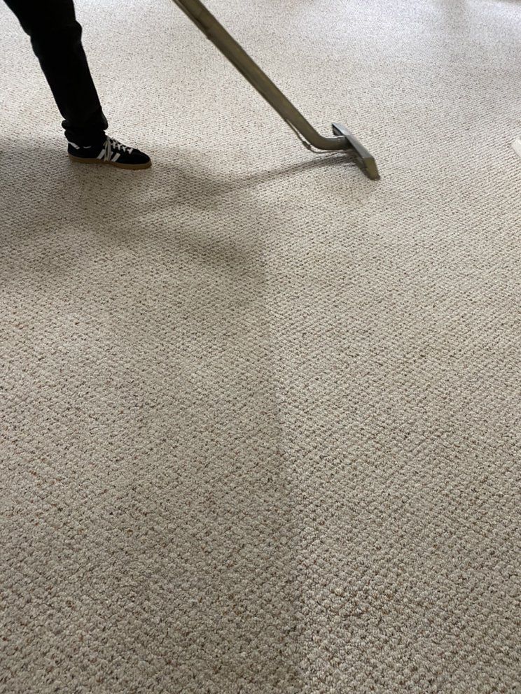 A person is using a vacuum cleaner to clean a carpet.