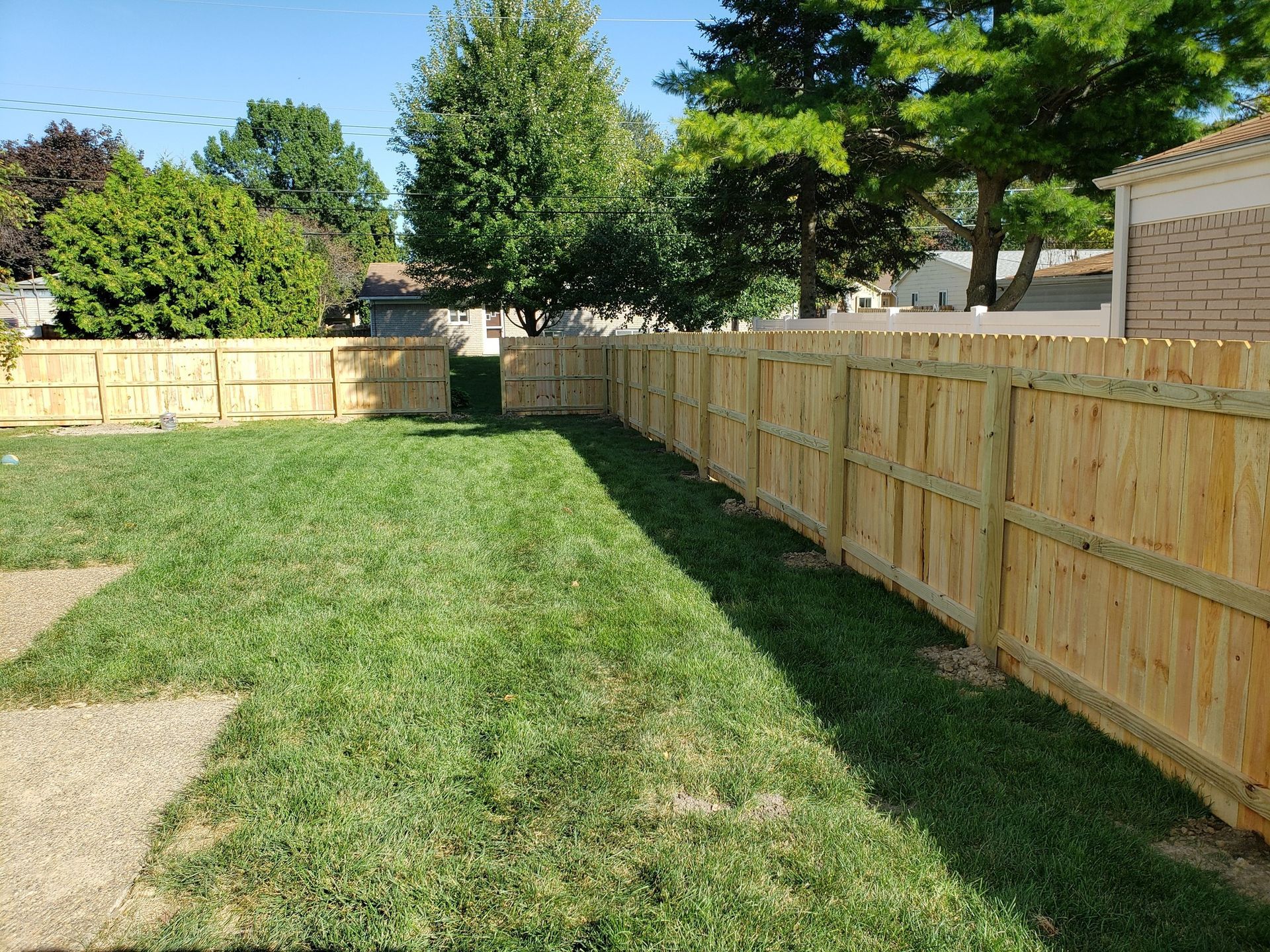 A green backyard with a wooden fence, trees, and grass.