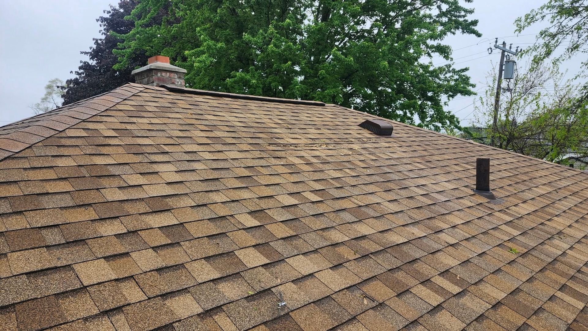 Brown asphalt shingle roof with chimney and vent pipe against a backdrop of trees and cloudy sky.