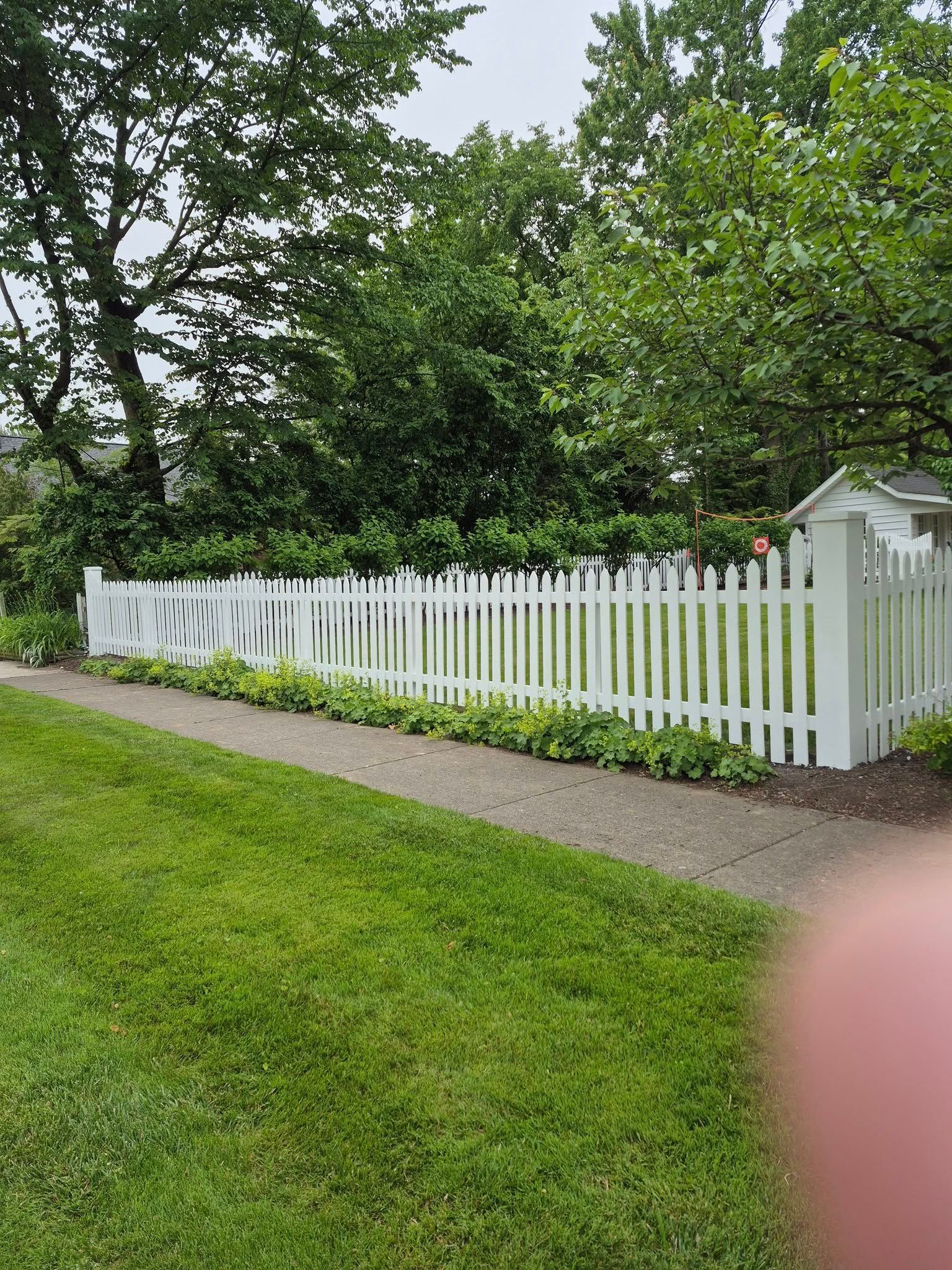 White picket fence along a sidewalk bordering a lawn; trees in the background.
