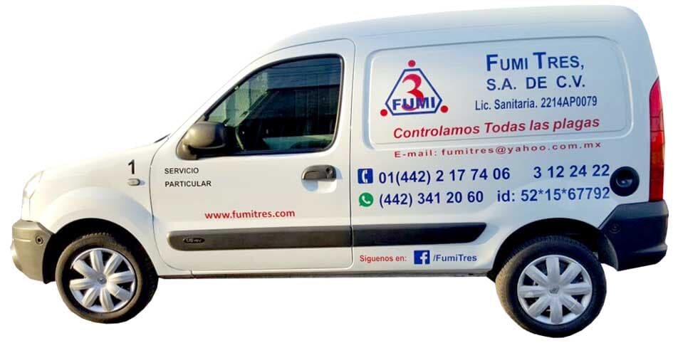 FUMI TRES SA DE CV  -  fumigación ptodesional