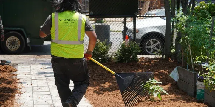 brooklyn lawn care seasonal maintenance 