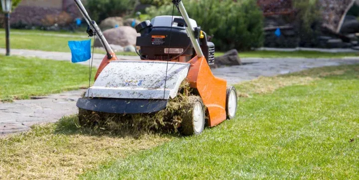 Fall Lawn Aeration & Overseeding in NYC: Why Timing Is Everything