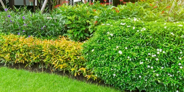 Green Roof Maintenance in NYC: A Seasonal Care Guide for Building Owners